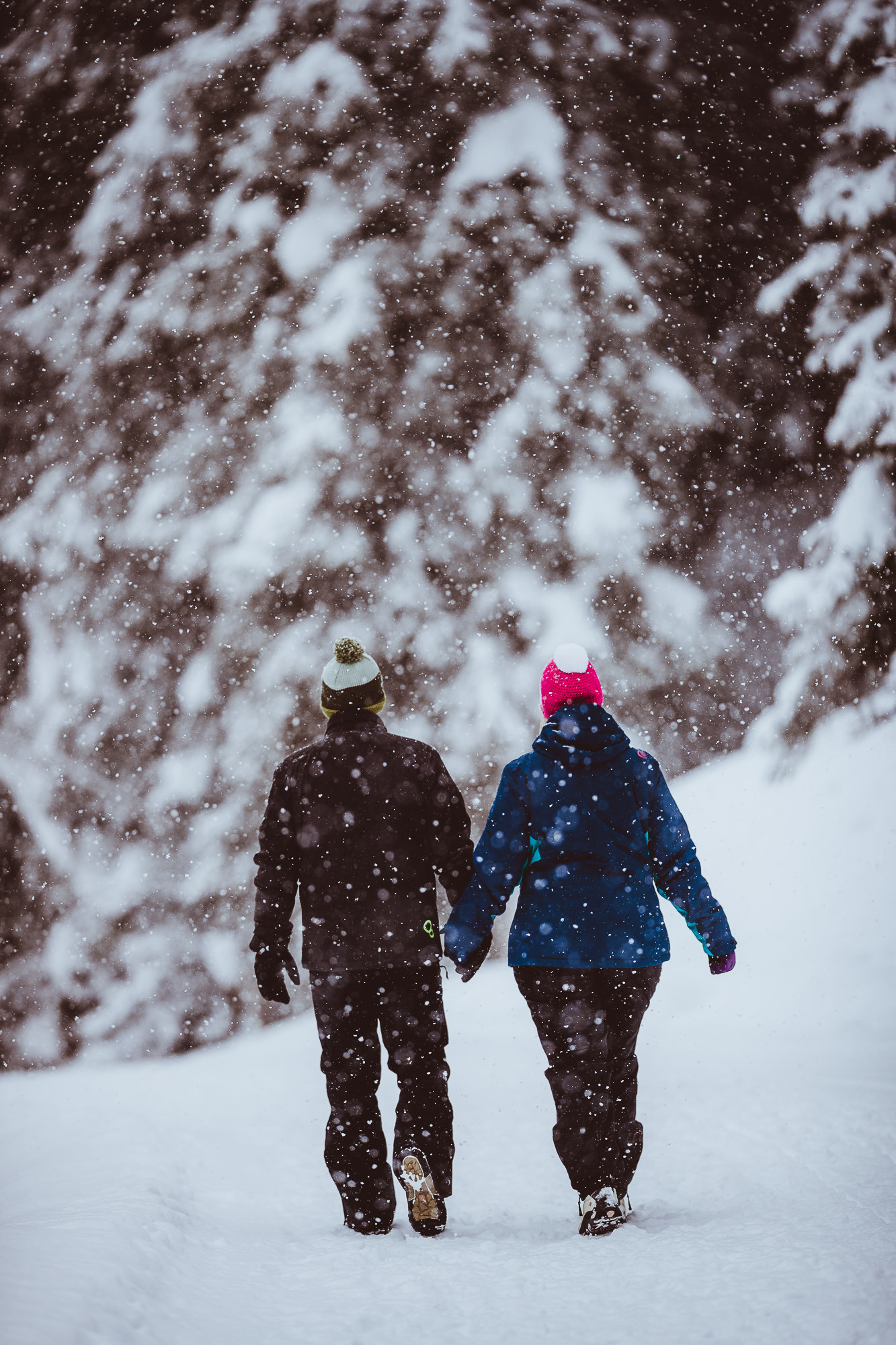 Export x3 1DX28912 Verlobungsfotoshooting 2018 Anna & Dominik
